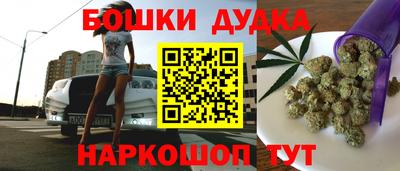 индика Абакан