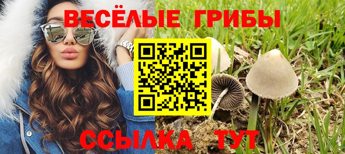 Галлюциногенные грибы мицелий Апатиты