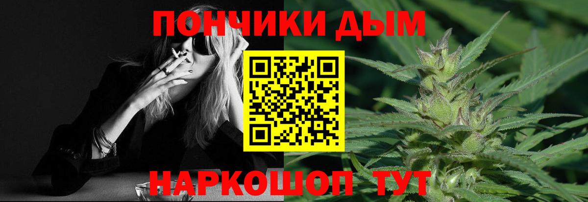 Конопля гибрид Апатиты